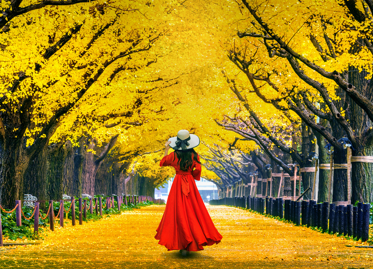A woman in a red dress walking through the yellow fall foilage